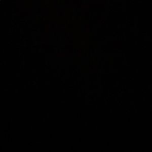 Meet your Posher, Paul